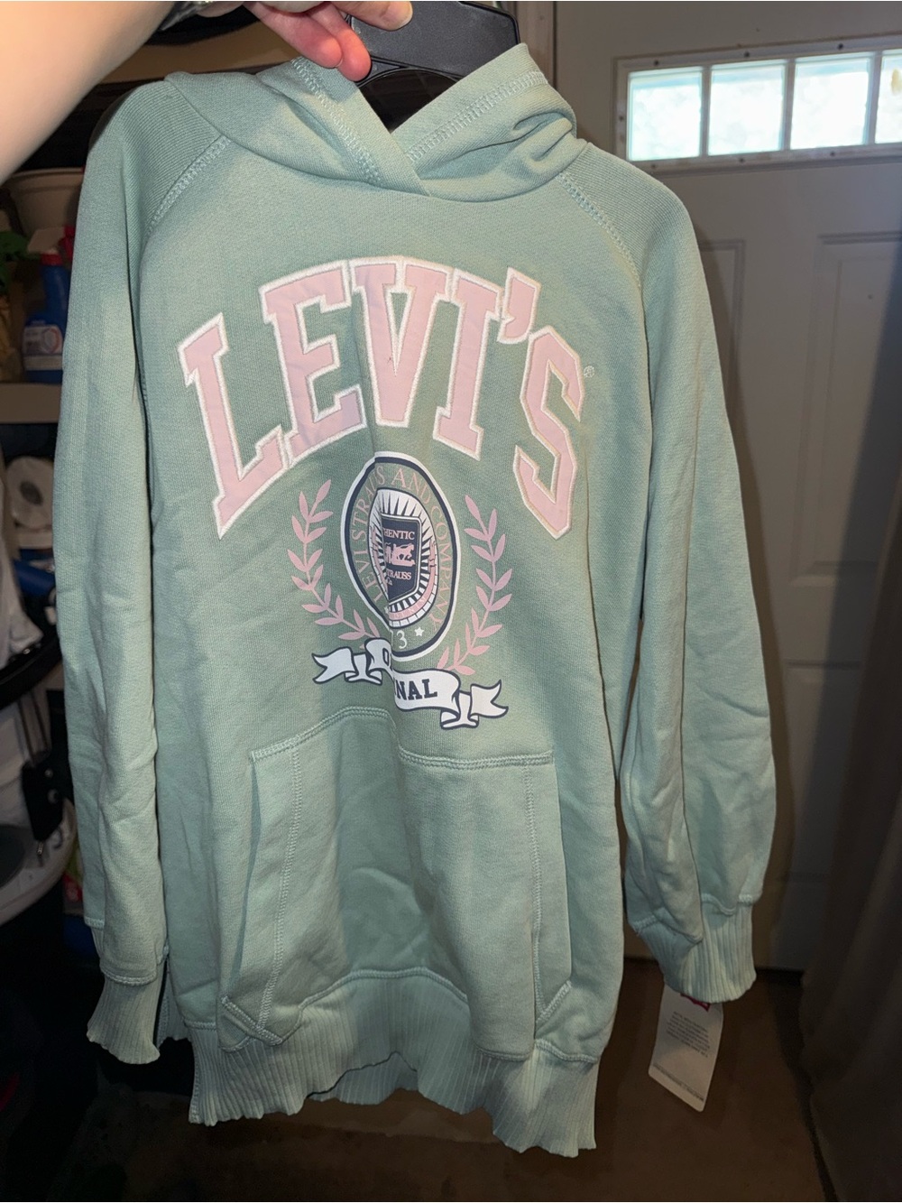 Levi's Men's Sage Green Crewneck Hoodie with Pink Logo
